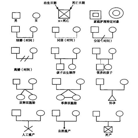 家族樹同住虛線